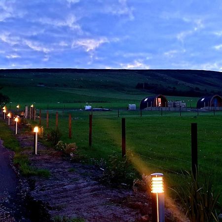 Lilly'S Lodges Orkney Hedgehog Lodge Finstown Eksteriør bilde