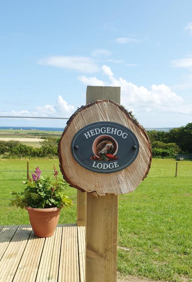 Lilly'S Lodges Orkney Hedgehog Lodge Finstown Eksteriør bilde