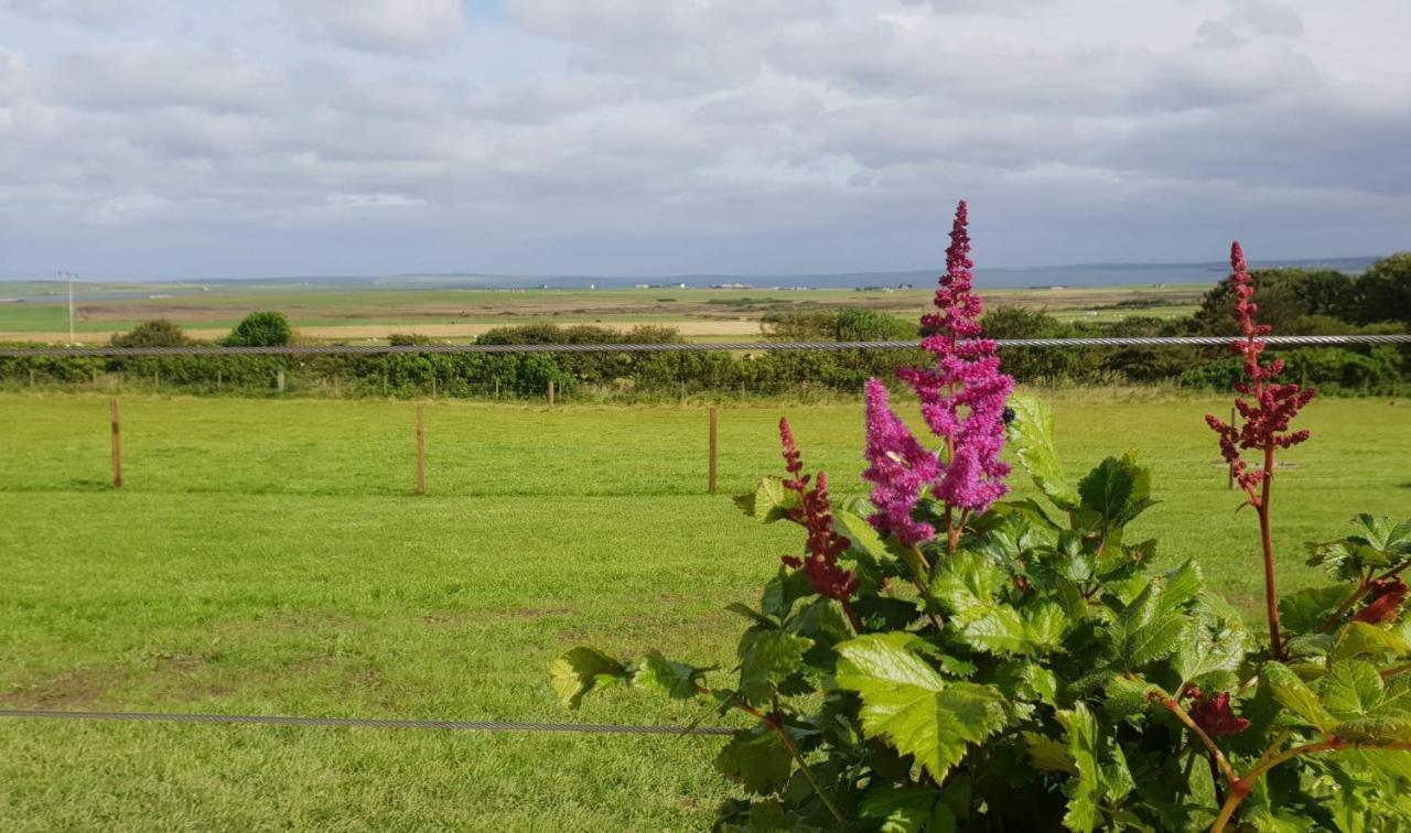 Lilly'S Lodges Orkney Hedgehog Lodge Finstown Eksteriør bilde