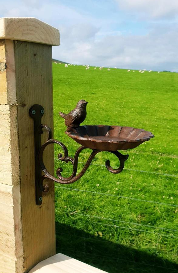 Lilly'S Lodges Orkney Hedgehog Lodge Finstown Eksteriør bilde